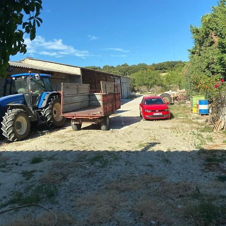 Gite A La Ferme Clansayes Zewnętrze zdjęcie