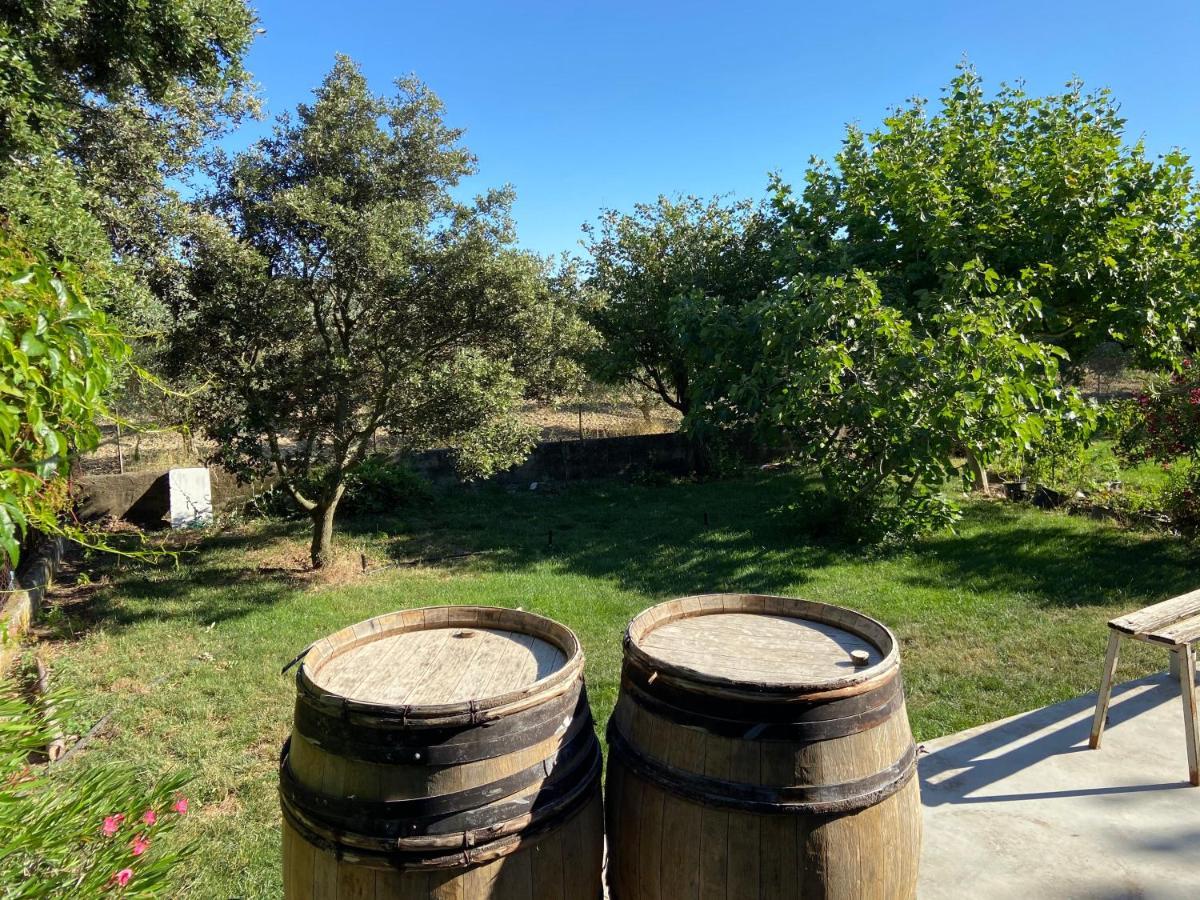 Gite A La Ferme Clansayes Zewnętrze zdjęcie